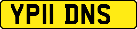 YP11DNS