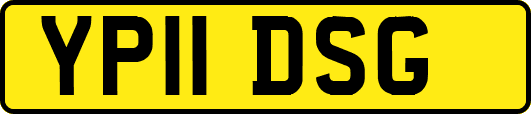 YP11DSG