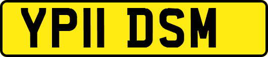 YP11DSM