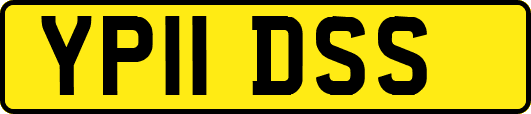 YP11DSS