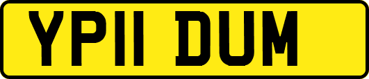 YP11DUM