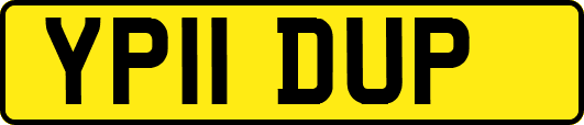 YP11DUP