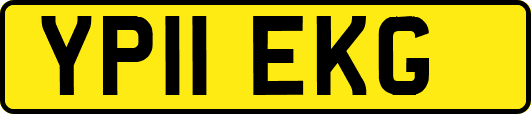 YP11EKG
