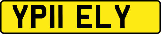 YP11ELY