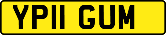 YP11GUM