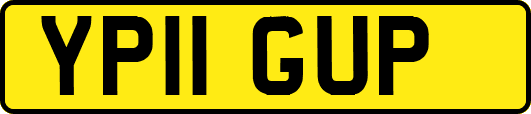 YP11GUP