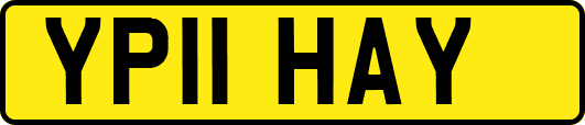 YP11HAY