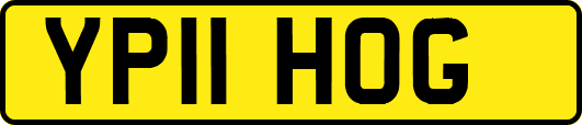 YP11HOG