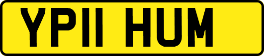YP11HUM