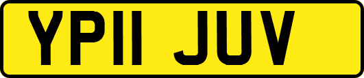 YP11JUV
