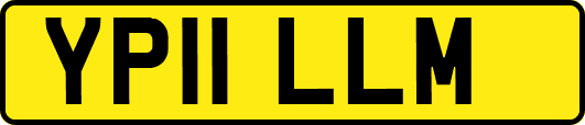 YP11LLM