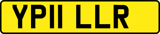 YP11LLR