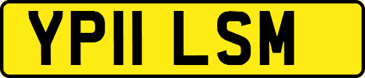 YP11LSM