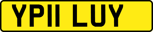 YP11LUY
