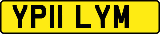YP11LYM