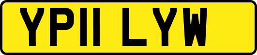YP11LYW