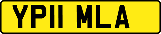 YP11MLA