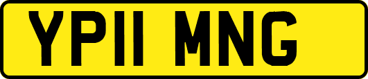 YP11MNG