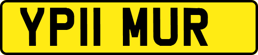 YP11MUR