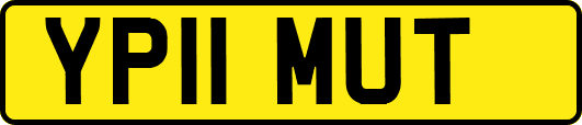 YP11MUT