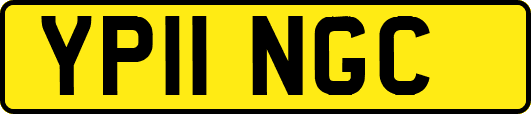 YP11NGC