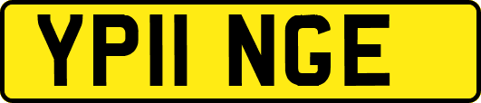 YP11NGE
