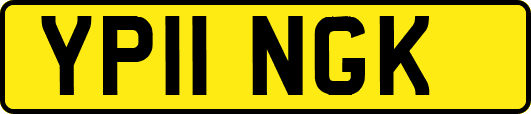 YP11NGK