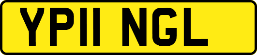 YP11NGL