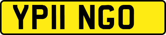 YP11NGO