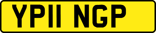 YP11NGP