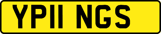 YP11NGS