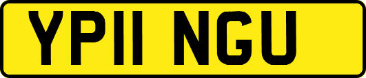 YP11NGU