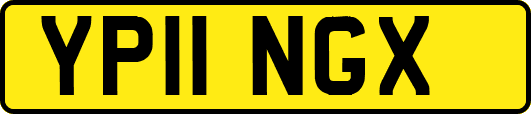 YP11NGX