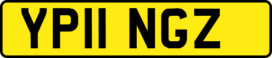 YP11NGZ
