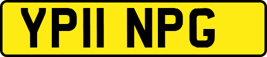 YP11NPG