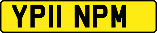 YP11NPM
