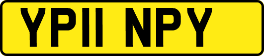 YP11NPY