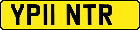YP11NTR