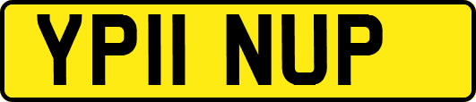 YP11NUP