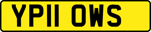 YP11OWS