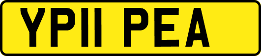 YP11PEA
