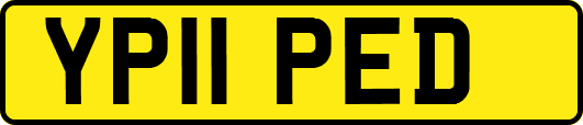 YP11PED