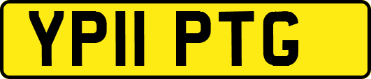 YP11PTG