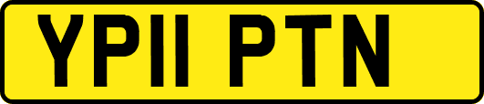 YP11PTN