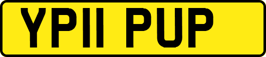 YP11PUP