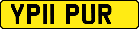 YP11PUR