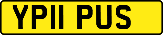 YP11PUS