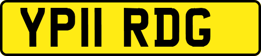 YP11RDG