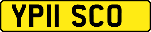 YP11SCO