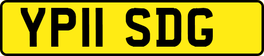 YP11SDG